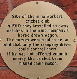 cricket